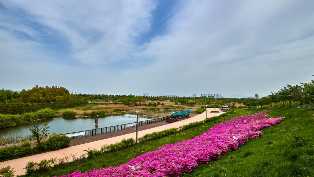 김포시 김포한강야생조류생태공원