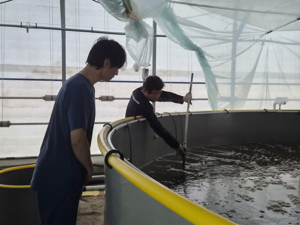 경기도는 방류 전 전염병 검사를 통해 양식 생물과 야생 수산생물의 전염병 감염을 방지한다.