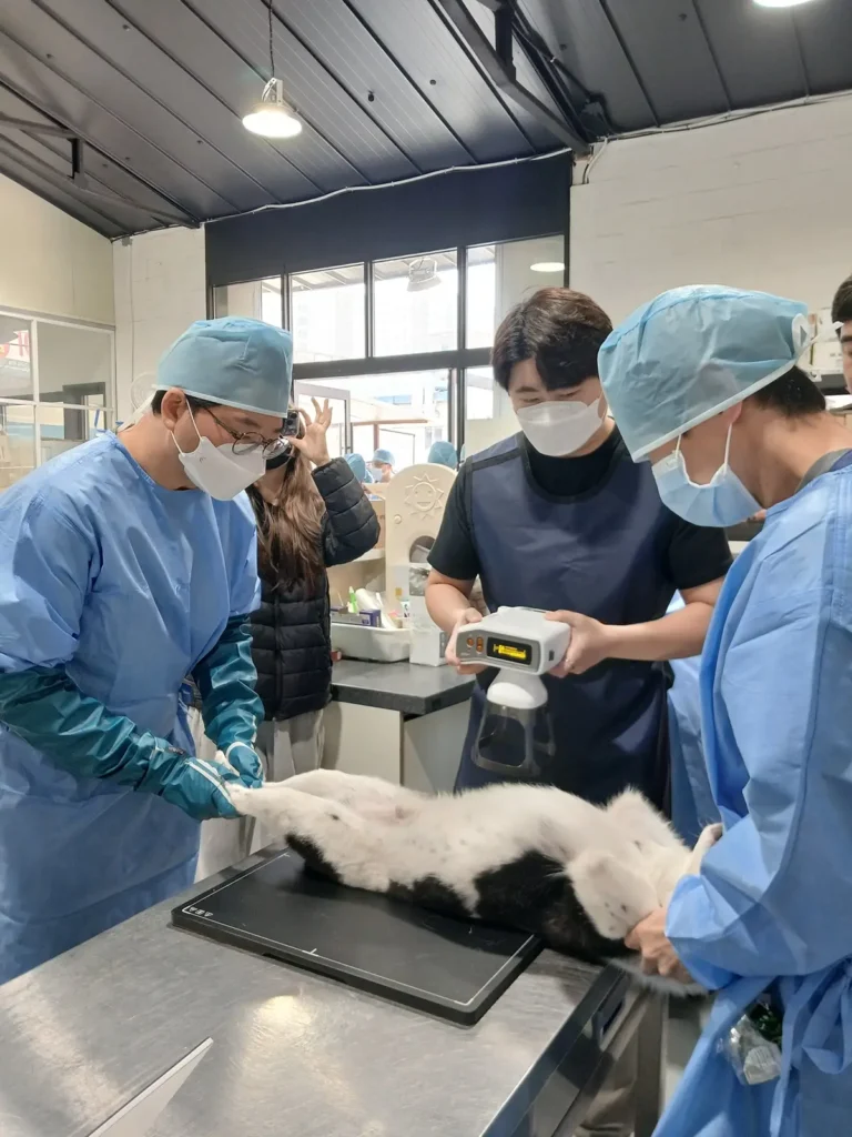 찾아가는 동물보호시설 진료활동 지원사업 현장 진료 사진